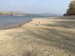 IMG_3187