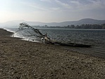 IMG_3213