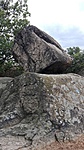 IMG_20181027_122623