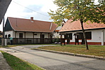 IMG_1310