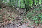 IMG_1574