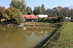 IMG_1481