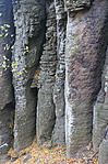 IMG_1790k