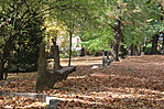 IMG_1963