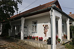 IMG_2005