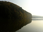 DSCF7746