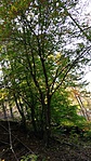 IMG_20181014_134534