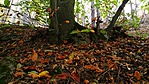 IMG_20181014_134755