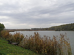 PA288745