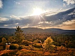 IMG-50686ad54f2249cb4ff49a6c18a2aa92-V-01