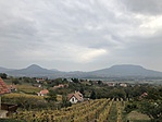 IMG_5785