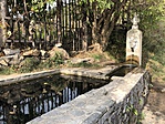 IMG_5805