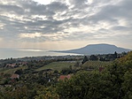 IMG_5809