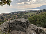 IMG_5810