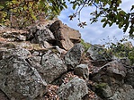 IMG_5811