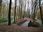 IMG_20181101_144852
