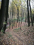 IMG_20181101_142339
