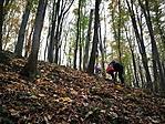 IMG_20181101_142344