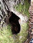 IMG_20181102_124741
