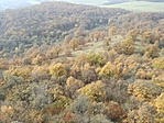 IMG_20181102_115007