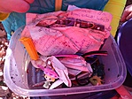 IMG_20181111_133822