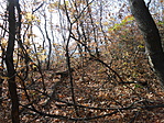 DSCN5620