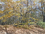 DSCN5624
