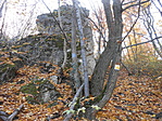 DSCN5626