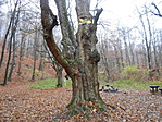 DSCN5717