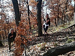 IMG_20181103_113307[1]