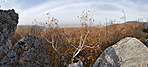 20181101_133020_1200