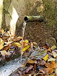 20181104_113847-800x1066