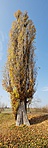 20181104_103959-1066x3278