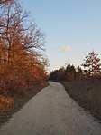 2018-11-16 15.50.31R