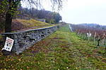 P1150653