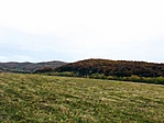 IMG_3777