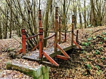IMG_3781