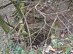 DSC03486