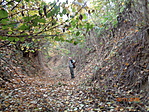 DSC03492