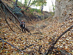 DSC03494