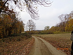 DSC03497