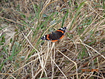 DSC03500
