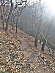 20181110_140454