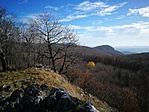 IMG_20181104_090414