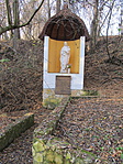 IMG_5485