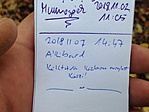 A log :)