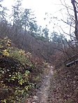 20181124_110039