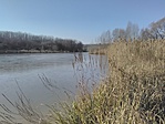 IMG_20181129_131926
