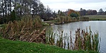 20181101_152026_HDR