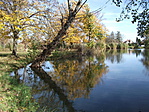 DSCF0629